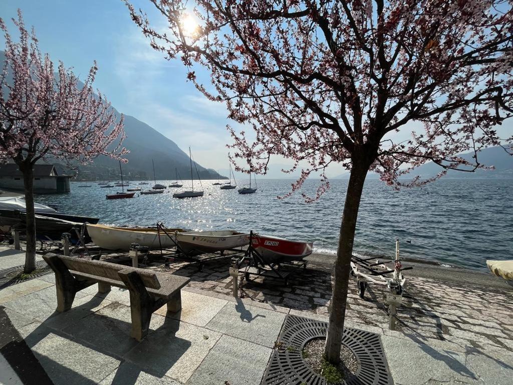 Il Sole Di Calde Lago Maggiore 504 Castelveccana Buitenkant foto